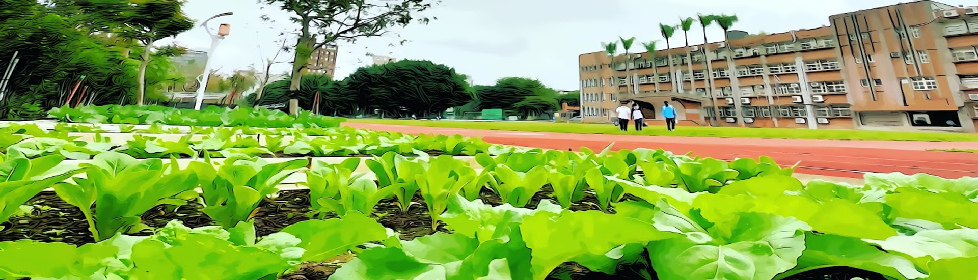 永吉國中小田園